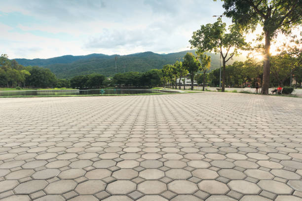 Best Driveway Pavers Near Me  in Lake Stickney, WA
